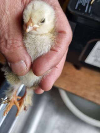 풍요님의 자유주제 · 자유게시판 작성글 사진