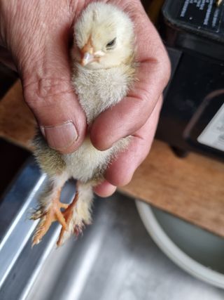 풍요님의 자유주제 · 자유게시판 작성글 사진