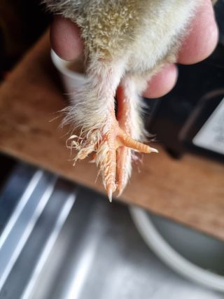 풍요님의 자유주제 · 자유게시판 작성글 사진