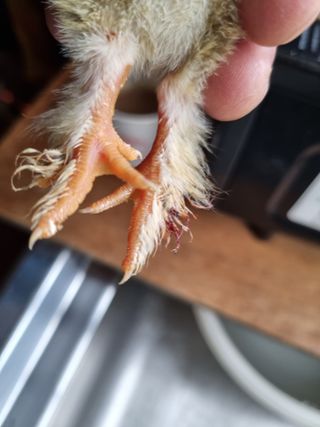 풍요님의 자유주제 · 자유게시판 작성글 사진