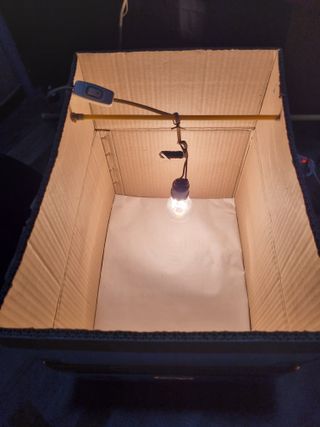 풍요님의 자유주제 · 자유게시판 작성글 사진