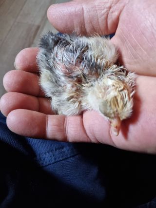 풍요님의 자유주제 · 자유게시판 작성글 사진