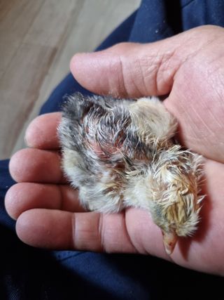 풍요님의 자유주제 · 자유게시판 작성글 사진