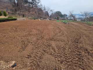 정영기대산축산농부♡님의 감자 · 영농일지 작성글 사진