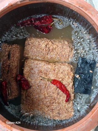 이상애초보농업님의 자유주제 · 자유게시판 작성글 사진