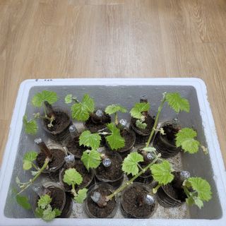 박기식 님의 자유주제 · 자유게시판 작성글 사진