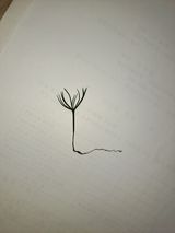 팜모닝 농사, 무엇이든 물어보세요!·참여글 게시글 이미지