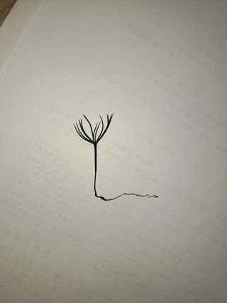 김형운 님의 농사, 무엇이든 물어보세요! · 참여글 작성글 사진