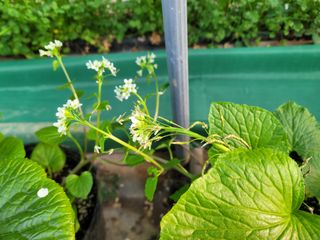 여우내 이순홍님의 기타작물 · 자유게시판 작성글 사진