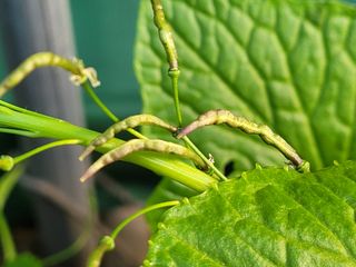 여우내 이순홍님의 기타작물 · 자유게시판 작성글 사진