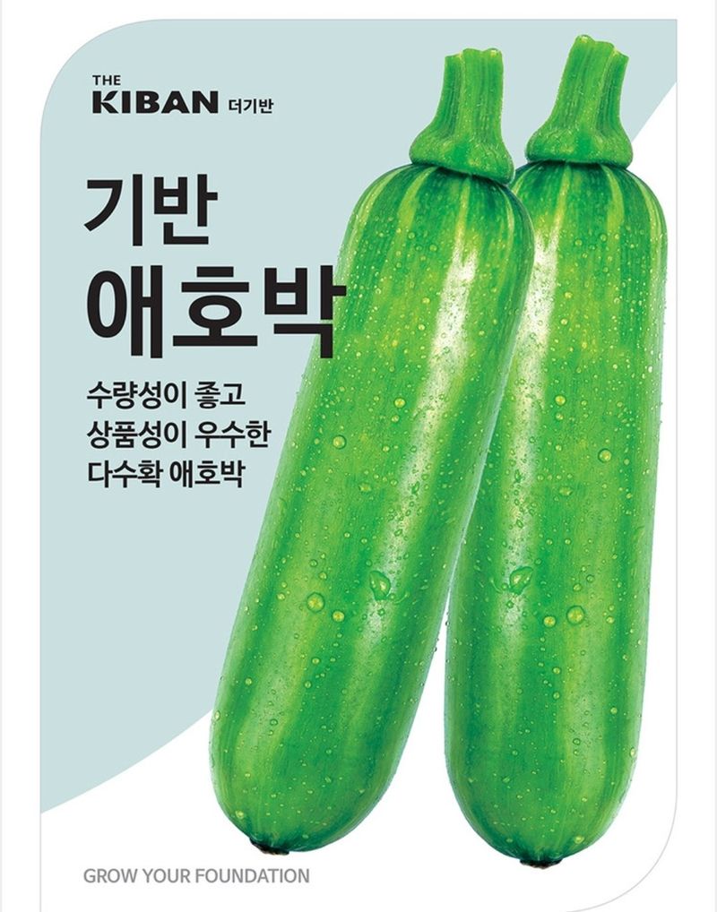 장터 상품 [[더기반] 전문농가 애호박70립] 썸네일