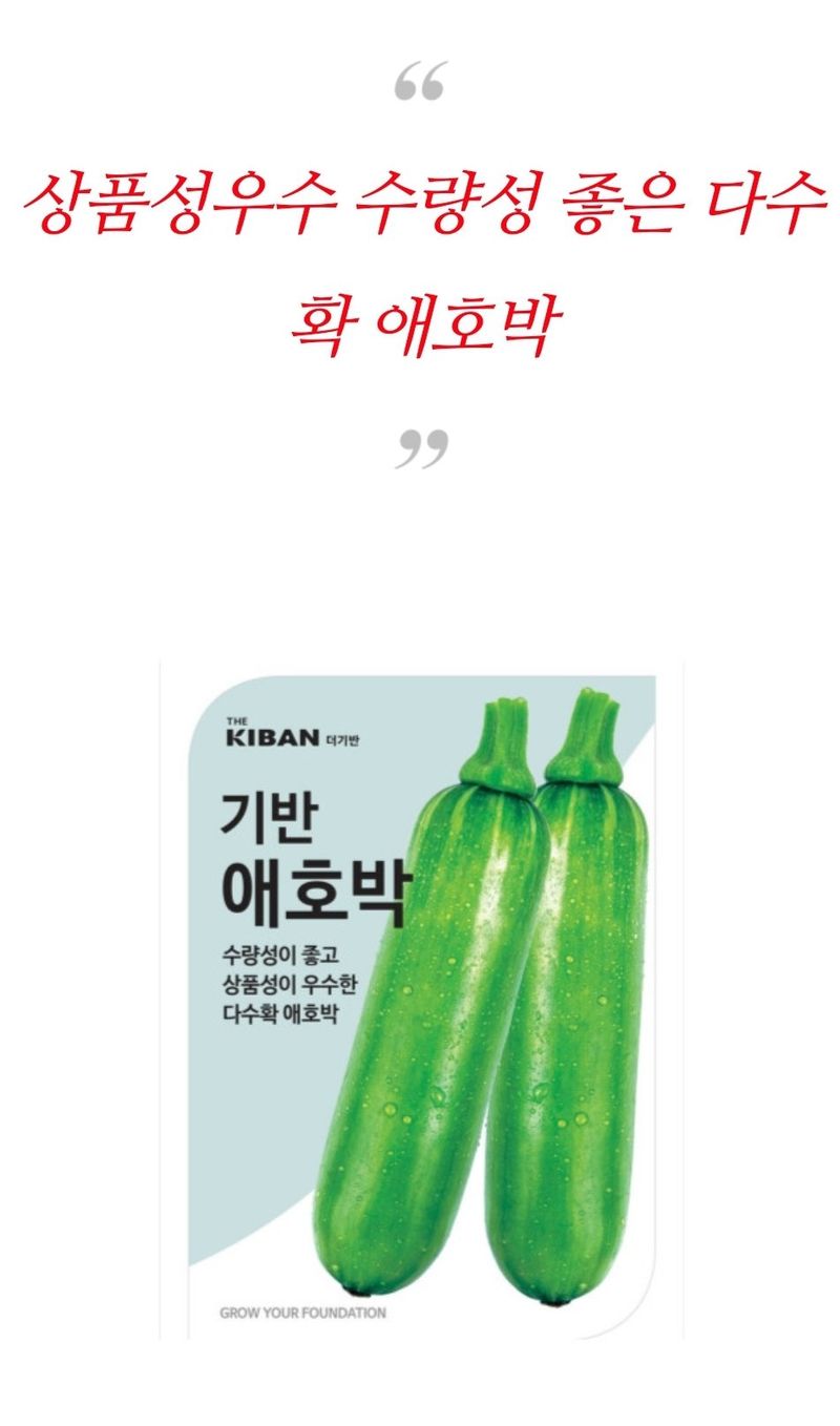 대산농사대장님의 장터 판매 상품 [[더기반] 전문농가 애호박70립] 첨부 사진