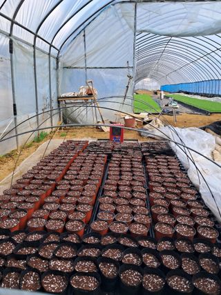 안성농부님의 자유주제 · 자유게시판 작성글 사진