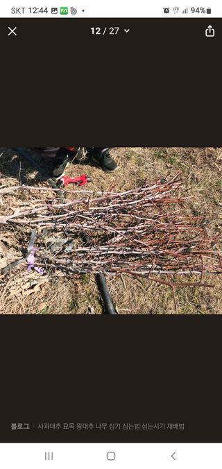 김영복님의 자유주제 · 자유게시판 작성글 사진