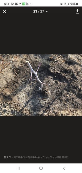 김영복님의 자유주제 · 자유게시판 작성글 사진