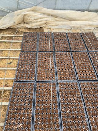 김영철님의 기타작물 · 영농일지 작성글 사진