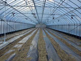 김영철님의 기타작물 · 영농일지 작성글 사진