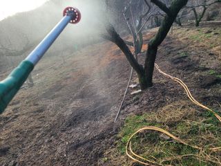 이재원님의 기타작물 · 영농일지 작성글 사진