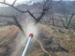 이재원님의 기타작물 · 영농일지 작성글 사진