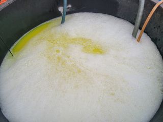 이재원님의 기타작물 · 영농일지 작성글 사진