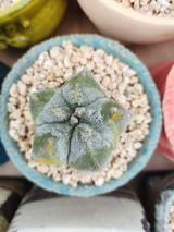 팜모닝 자유주제·자유게시판 게시글 이미지