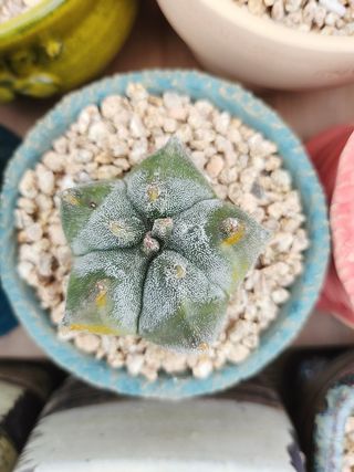 이연옥님의 자유주제 · 자유게시판 작성글 사진