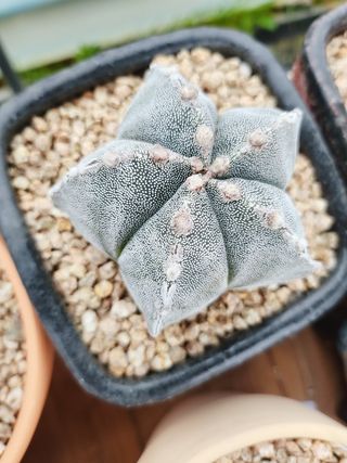 이연옥님의 자유주제 · 자유게시판 작성글 사진