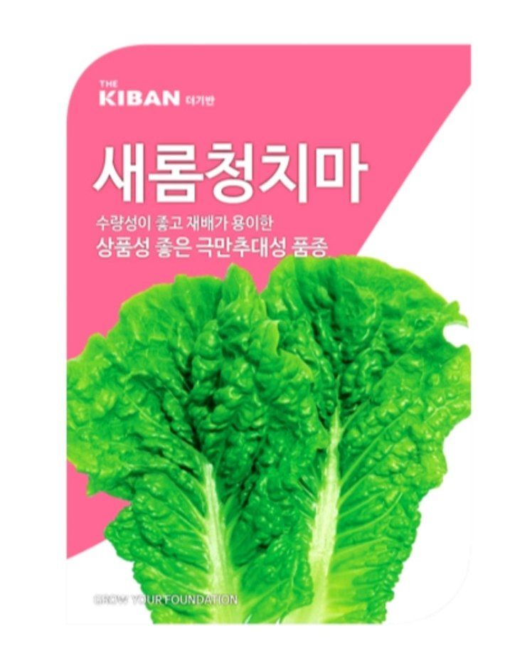 대산농사대장님의 장터 판매 상품 [더기반 고급 상추 4000천립] 첨부 사진