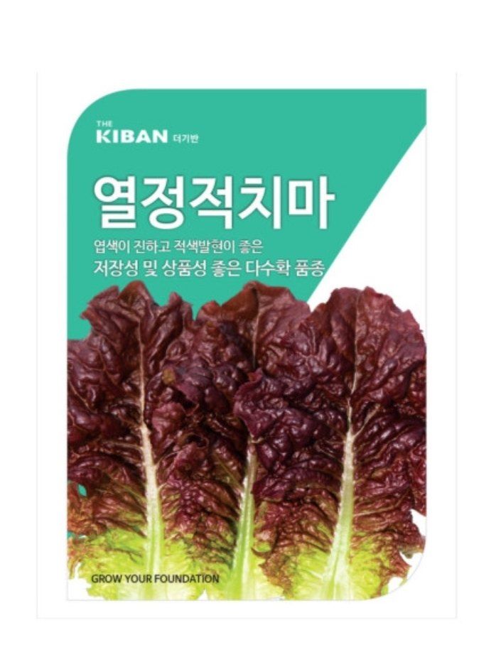 대산농사대장님의 장터 판매 상품 [더기반 고급 상추 4000천립] 첨부 사진