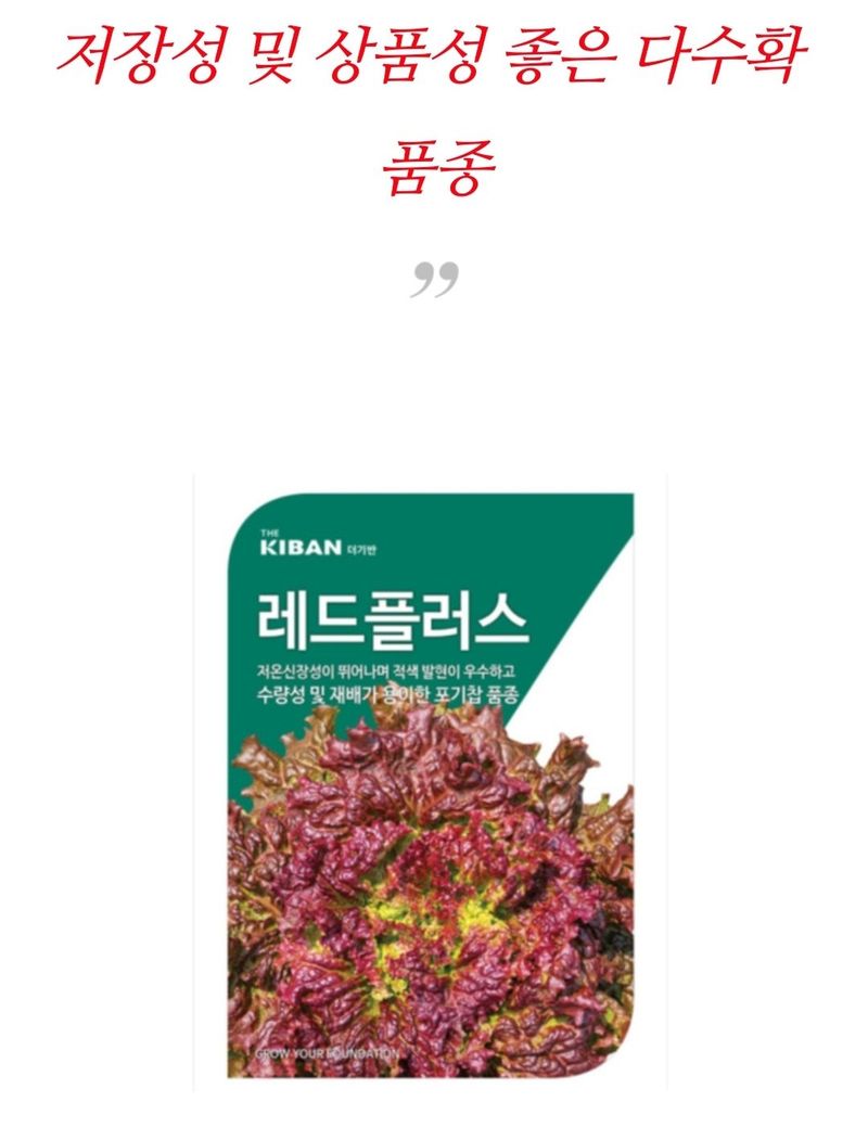 대산농사대장님의 장터 판매 상품 [더기반 고급 상추 4000천립] 첨부 사진