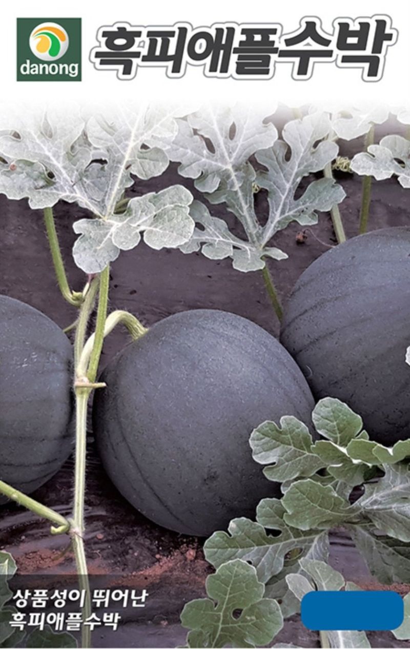 한농농약종묘사님의 장터 판매 상품 [멜론씨앗, 애플수박씨앗, 복수박씨앗, 망고수박] 첨부 사진