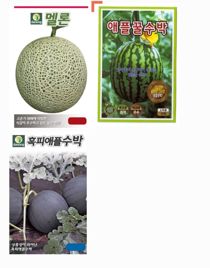 장터 상품 [멜론씨앗, 애플수박씨앗, 복수박씨앗, 망고수박] 썸네일