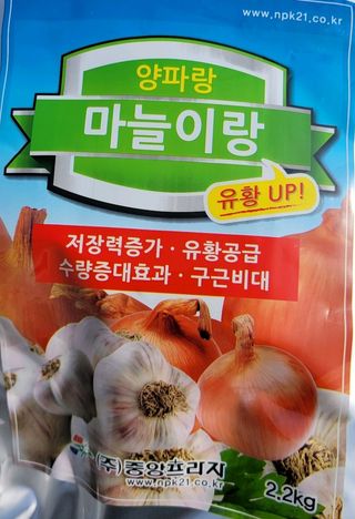 해은농장님의 마늘 · 영농일지 작성글 사진