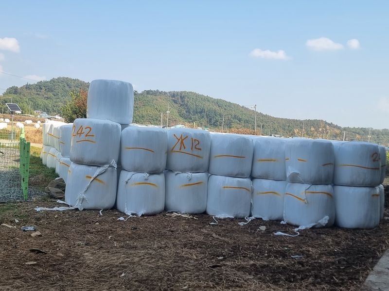 장터 상품 [23년곤포 볏짚 소자입니다] 썸네일