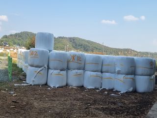 정영기대산축산농부♡님의 작성글 사진