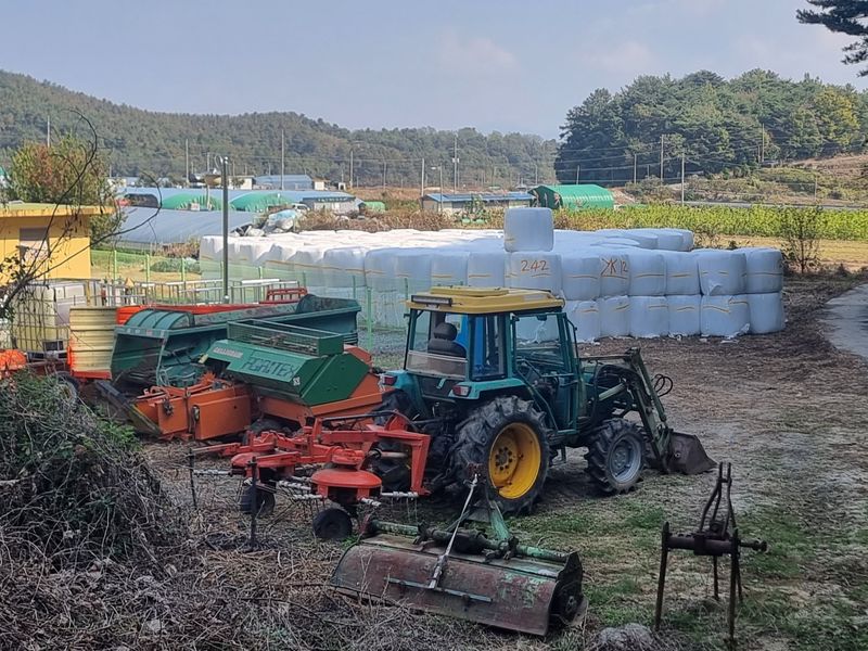 정영기대산축산농부♡님의 장터 판매 상품 [23년곤포 볏짚 소자입니다] 첨부 사진