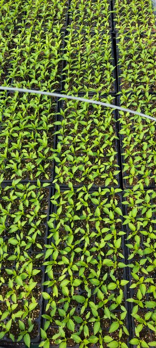 김종옥님의 자유주제 · 자유게시판 작성글 사진