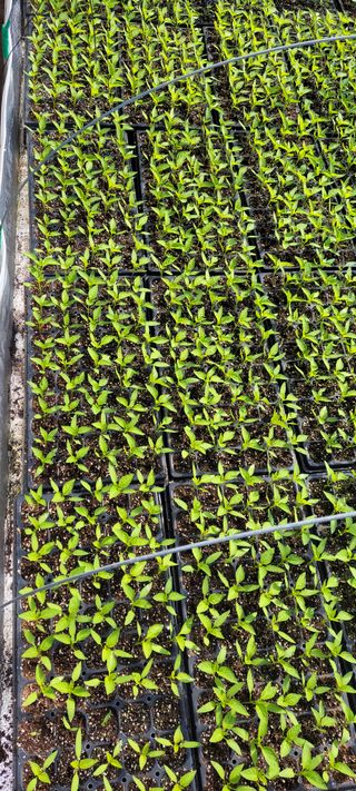 김종옥님의 자유주제 · 자유게시판 작성글 사진