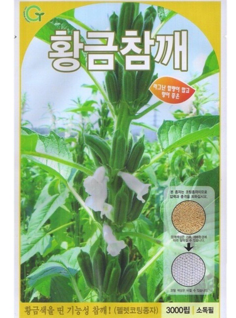 대산농사대장님의 장터 판매 상품 [[슈퍼안산]황금참깨 3000립[펠렛코팅]참기름전용] 첨부 사진