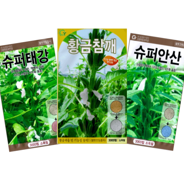 장터 상품 [[슈퍼안산]황금참깨 3000립[펠렛코팅]참기름전용] 썸네일