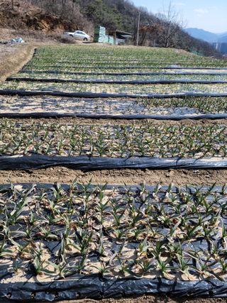 다소농원님의 자유주제 · 자유게시판 작성글 사진