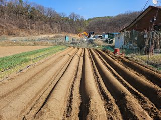 최경림님의 감자 · 영농일지 작성글 사진