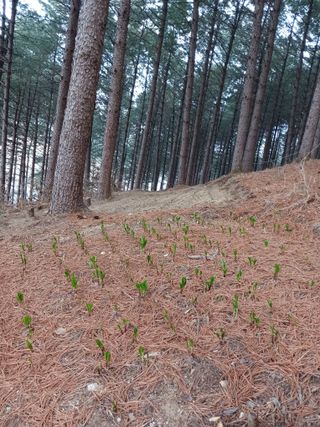 황덕순 님의 작성글 사진
