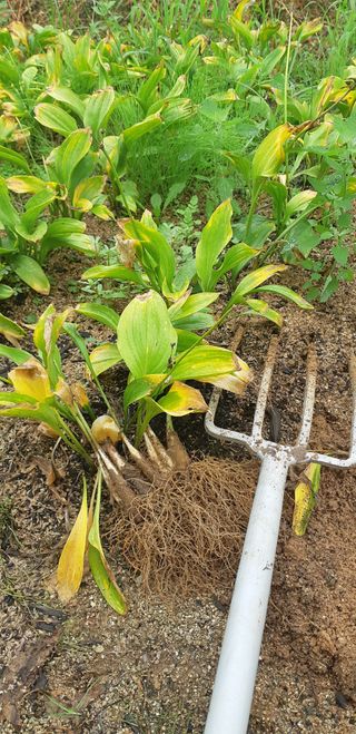 황덕순 님의 작성글 사진