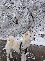 팜모닝 자유주제·자유게시판 게시글 이미지