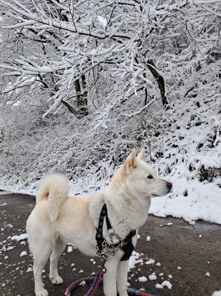 GH장수기호농님의 자유주제 · 자유게시판 작성글 사진