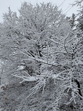 GH장수기호농님의 자유주제 · 자유게시판 작성글 사진