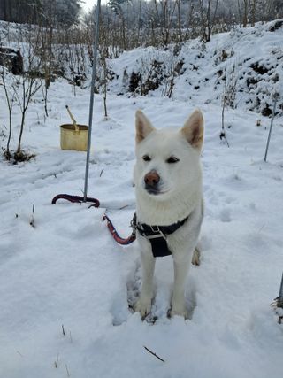 GH장수기호농님의 자유주제 · 자유게시판 작성글 사진