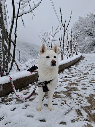 GH장수기호농님의 자유주제 · 자유게시판 작성글 사진