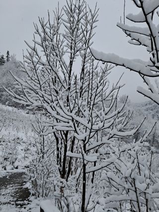 GH장수기호농님의 자유주제 · 자유게시판 작성글 사진